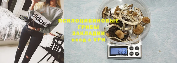 стаф Баксан