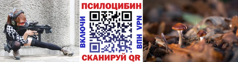 Псилоцибиновые грибы Psilocybine cubensis  Пересвет 