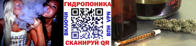 Каннабис ГИДРОПОН  Пересвет 
